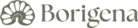 LOGO BORIGENA